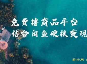 蚁淘生活与闲鱼双平台变现课程，小白轻松上手