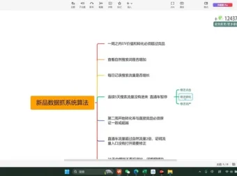 文西电商实战课：新品爆款打造与搜索流量提升