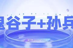 鬼谷子与孙子兵法课程：揭秘财富秘密，修炼人生赢家