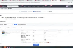 拼多多运营实战课：爆款打造与流量提升