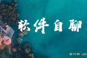 交友软件自聊赚钱项目，做就有收益