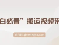 小白必看：搬运视频带货玩法，纯自然流日入千元