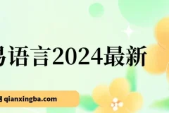 易语言零基础入门与全流程实战教程