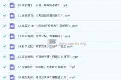 逆袭高手学习方法课：从零到顶尖的高效学习秘籍