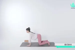 王媛14天零基础瑜伽速成课