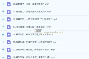 逆袭高手学习方法课：从零到顶尖的高效学习秘籍