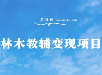 林木教辅变现项目：教引流变现，附资料资源