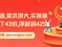 资源项目实操变现课程