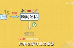 全学科高效提分：超强记忆力训练秘籍