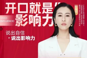 柳婉琴26节高效演说课：实战提升招商谈判与团队管理能力