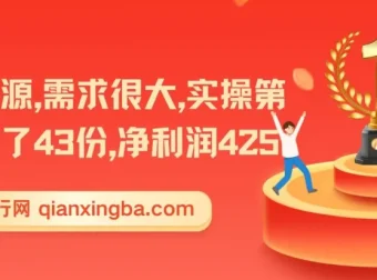 资源项目实操变现课程