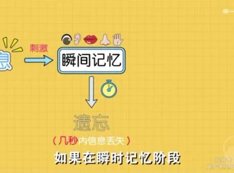 全学科高效提分：超强记忆力训练秘籍