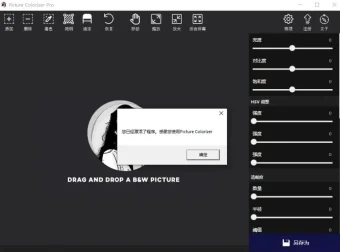Picture Colorizer Pro：AI智能照片修复上色软件