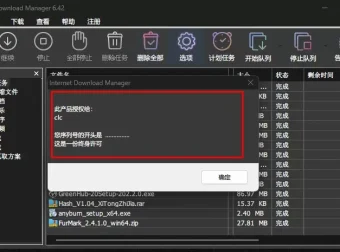IDM下载器（Internet Download Manager）资源