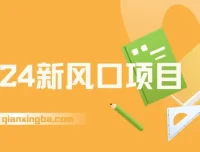 2024新风口项目，稳定创业与副业之选