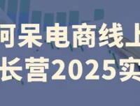 阿呆电商线上成长营实操课程