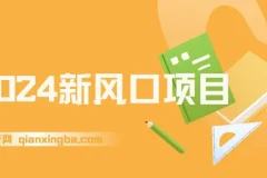 2024新风口项目，稳定创业与副业之选