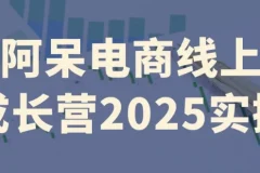 阿呆电商线上成长营实操课程
