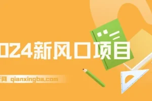 2024新风口项目，稳定创业与副业之选