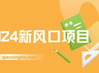 2024新风口项目，稳定创业与副业之选