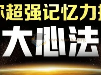 最强大脑杨易思维训练营课程