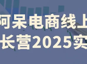 阿呆电商线上成长营实操课程