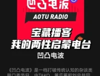 《凹凸电波》播客节目付费合集