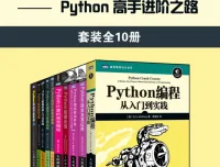《图灵程序设计丛书：Python高手进阶之路》全10册