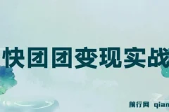 快团团变现实战营：千万级流水团长带你实战快团团