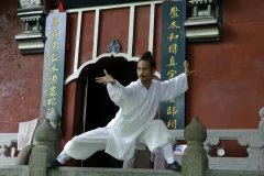 武当袁师懋道长养生八段锦教学资源