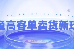 闲鱼高客单卖货新玩法：教你选品实现单品收入1万+