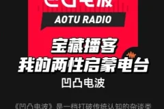《凹凸电波》播客节目付费合集