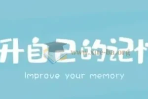 王峰高效学习记忆力提升课