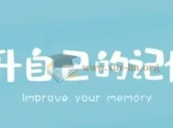 王峰高效学习记忆力提升课