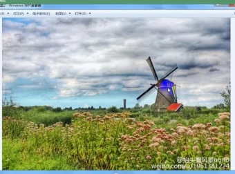 零基础水彩入门32讲：掌握从原理到进阶技法