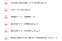 2025年12月10日付费文章合集