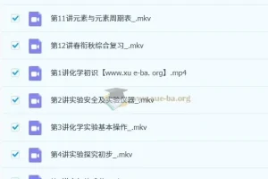 丁芝初二化学春衔秋目标A+课程（全国通用版）