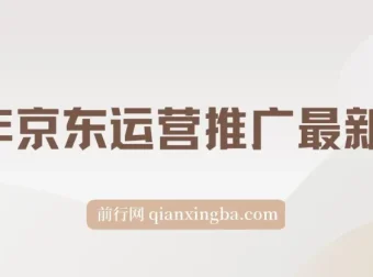 2025年京东运营推广最新玩法课程