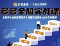大炮拼多多全阶实战课程：从新手到运营高手，海量玩法全年更新