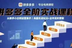 大炮拼多多全阶实战课程：从新手到运营高手，海量玩法全年更新