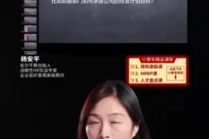 战略绩效与薪酬激励体系设计实操课 – 杨平安亲授