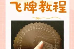 飞牌教程：从零开始学飞牌，圆你童年飞牌梦