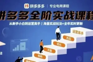 大炮拼多多全阶实战课程：从新手到运营高手，海量玩法全年更新