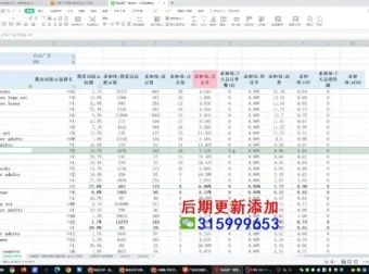 跨境飞哥广告付费流量优化高阶课程：用数据驱动决策
