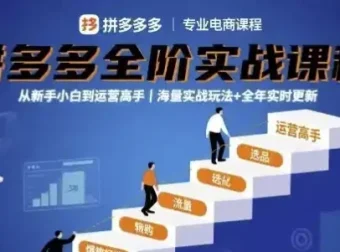 大炮拼多多全阶实战课程：从新手到运营高手，海量玩法全年更新