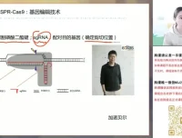 2024高考马阳洋生物二轮冲刺班：稳态与生态专题
