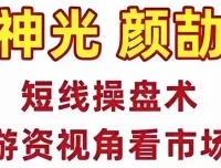 神光颜劼短线操盘术：股市高手密训营