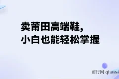 卖莆田高端鞋项目：小白两小时日入2000+轻松掌握