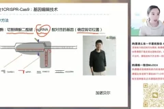 2024高考马阳洋生物二轮冲刺班：稳态与生态专题