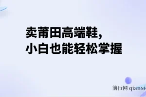 卖莆田高端鞋项目：小白两小时日入2000+轻松掌握